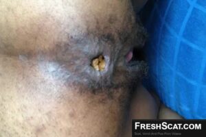 Free Scat Porn