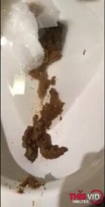Free Scat Porn