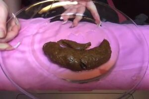 Free Scat Porn