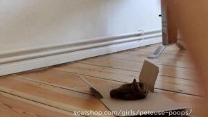 Free Scat Porn