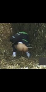 Free Scat Porn