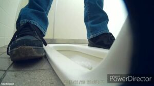 Free Scat Porn