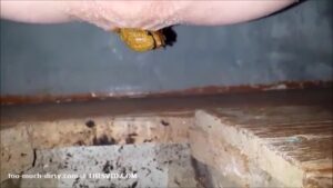 Free Scat Porn