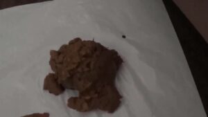 Free Scat Porn