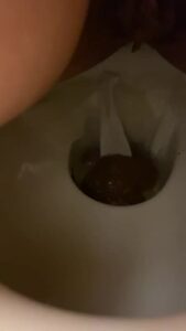 Free Scat Porn