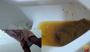 Free Scat Porn