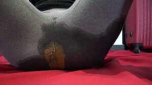 Free Scat Porn