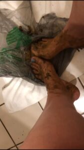 Free Scat Porn