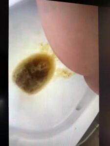 Free Scat Porn