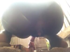 Free Scat Porn