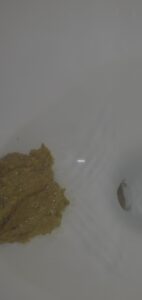 Free Scat Porn