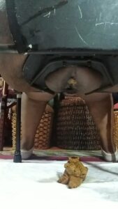 Free Scat Porn