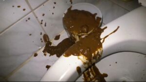 Free Scat Porn