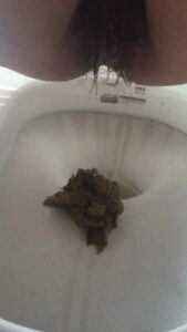 Free Scat Porn