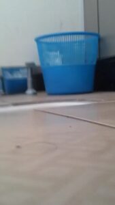 Free Scat Porn