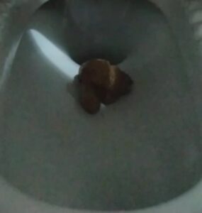 Free Scat Porn