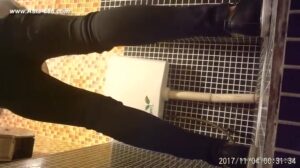 Free Scat Porn