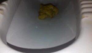 Free Scat Porn