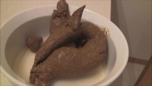 Free Scat Porn