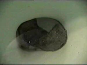 Free Scat Porn