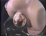 Free Scat Porn