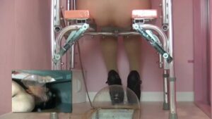 Free Scat Porn