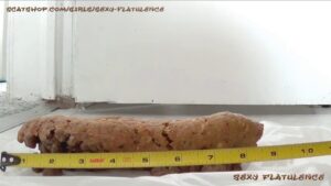 Free Scat Porn