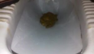 Free Scat Porn