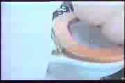 Free Scat Porn