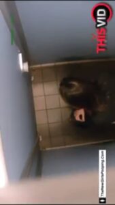 Free Scat Porn