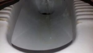 Free Scat Porn