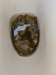 Free Scat Porn