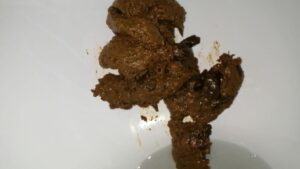 Free Scat Porn