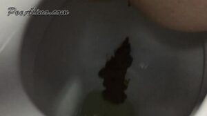 Free Scat Porn