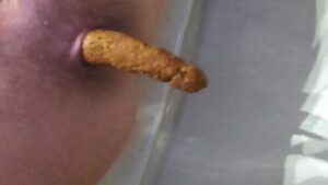 Free Scat Porn