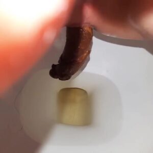 Free Scat Porn
