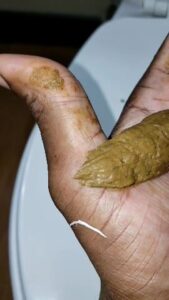 Free Scat Porn