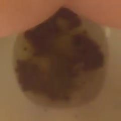Free Scat Porn