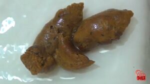 Free Scat Porn