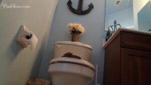 Free Scat Porn