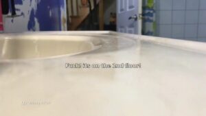Free Scat Porn