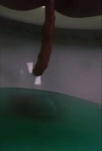 Free Scat Porn