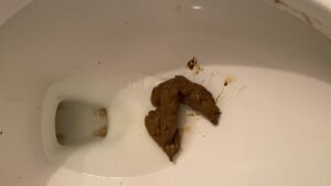 Free Scat Porn