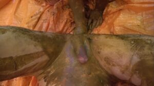 Free Scat Porn
