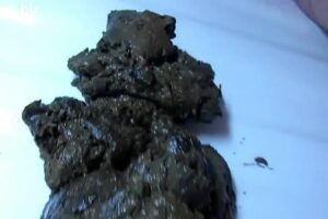 Free Scat Porn
