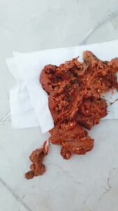 Free Scat Porn