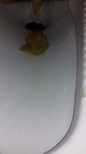 Free Scat Porn