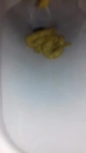 Free Scat Porn