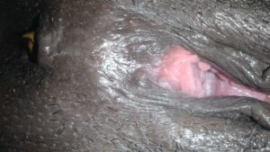 Free Scat Porn
