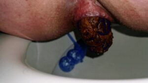 Free Scat Porn
